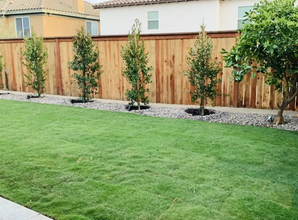Affordable landscape design for homes across Temecula, CA - Bluefire Xscape