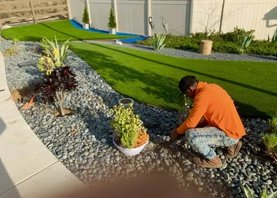 Bluefire Xscape Logo