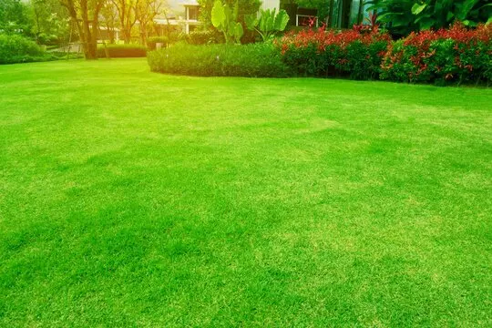 Local garden landscaping in Elizabethtown, KY by Bluegrass Boys Lawn Care