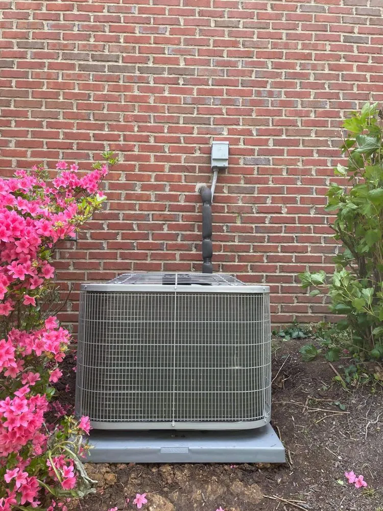 Reliable residential landscaping for homes across Irvine, KY - Bluegrass Breeze