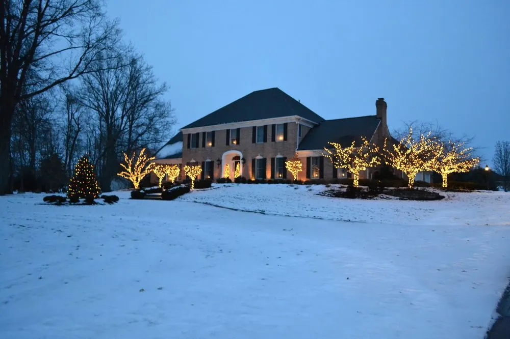 Trusted lawn care service in Canton, OH - Bluegrass