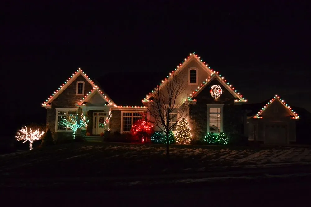 Expert yard cleanup service experts serving Canton, OH - Bluegrass