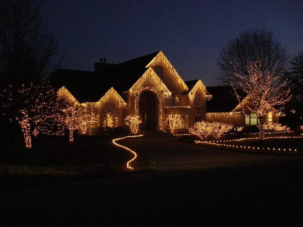 Trusted yard cleanup service in Canton, OH - Bluegrass