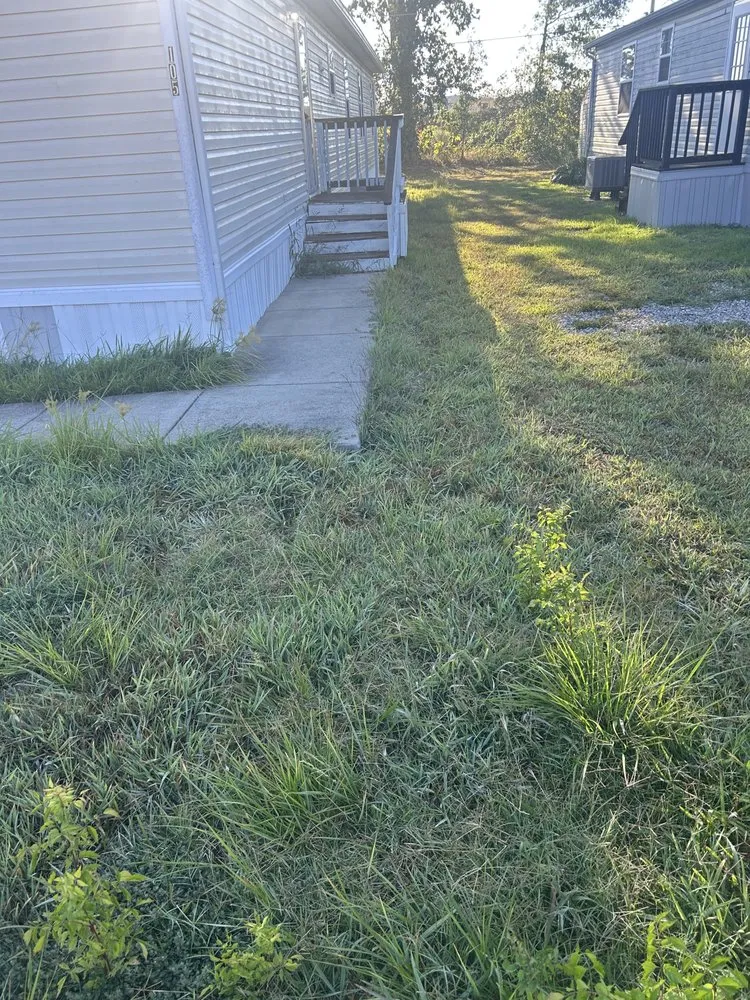 Professional outdoor landscaping in Louisville, KY - Bluegrass Elite Lawns