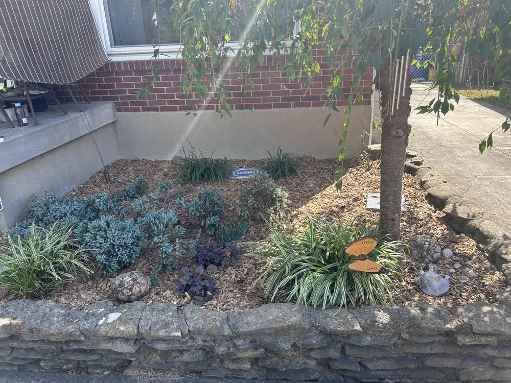 Trusted landscape installation for outdoor upgrades across Louisville, KY - Bluegrass Elite Lawns