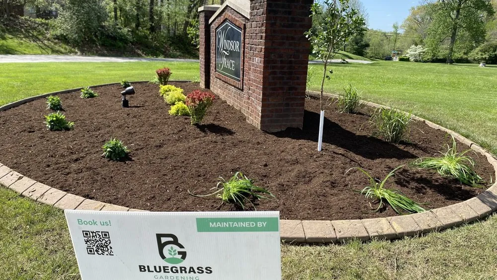 Reliable lawn mowing service experts serving Louisville, KY - Bluegrass Gardening