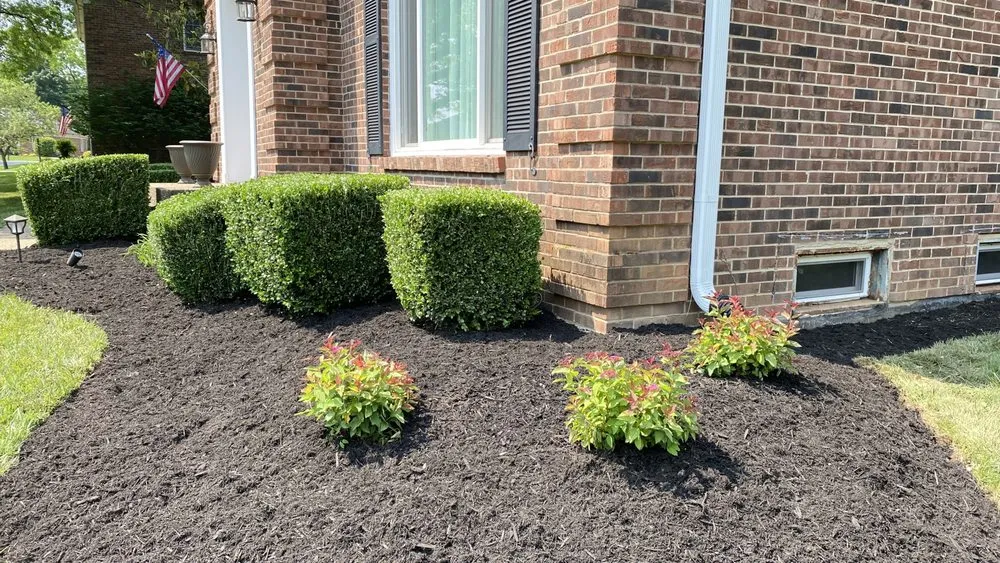 Custom yard maintenance for year-round maintenance across Louisville, KY - Bluegrass Gardening