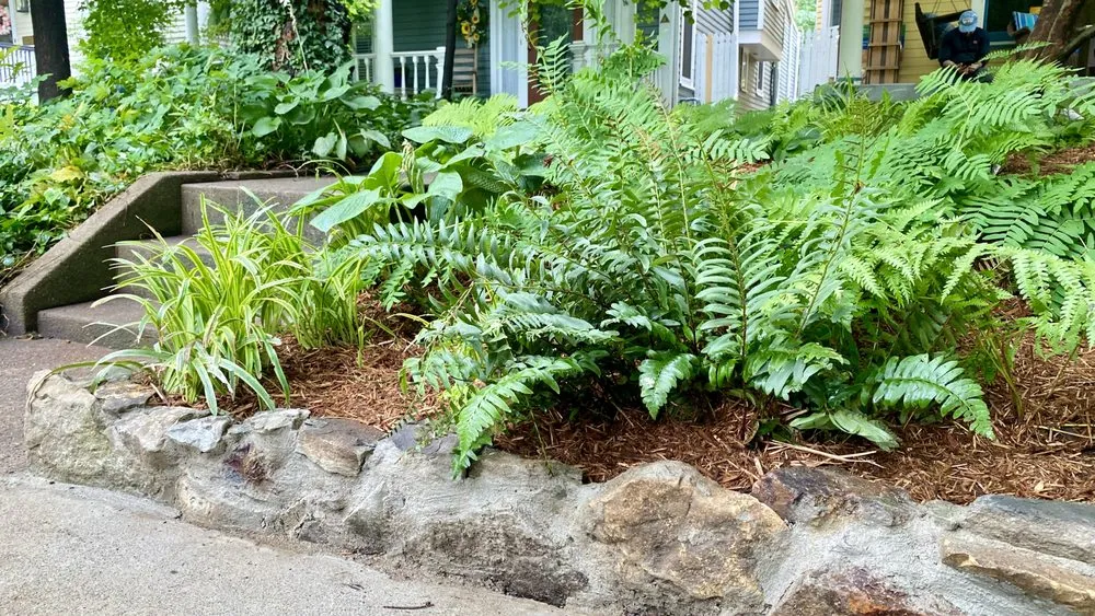 Top-rated outdoor landscaping in Louisville, KY by Bluegrass Gardening