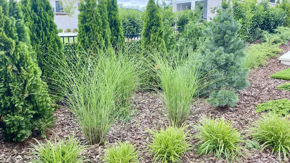 Local landscape design in Louisville, KY by Bluegrass Gardening