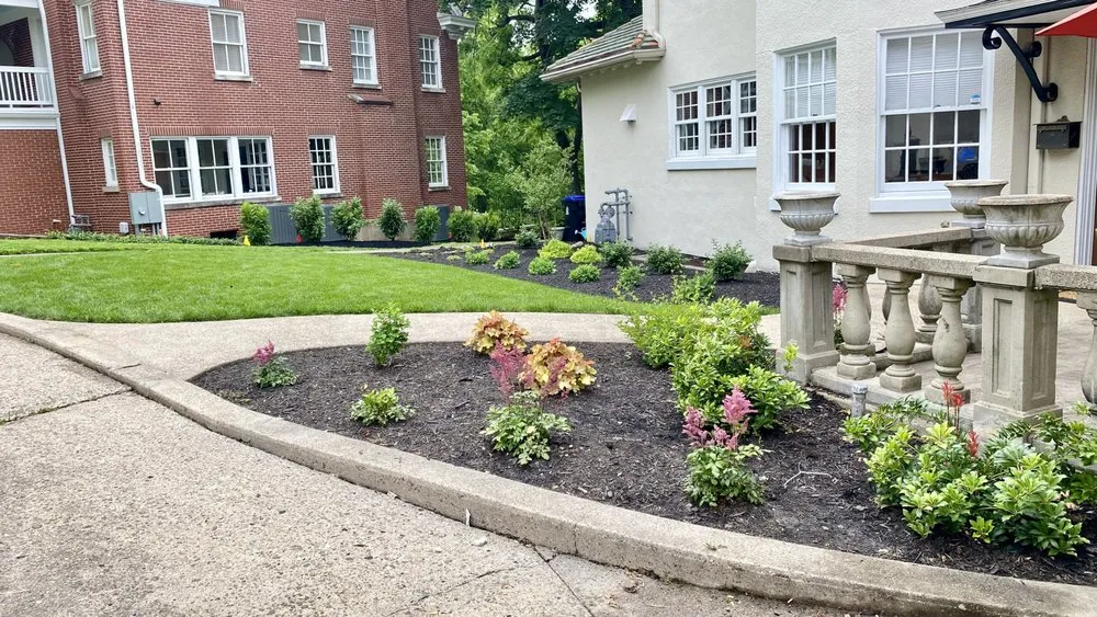 Professional yard cleanup service in Louisville, KY by Bluegrass Gardening