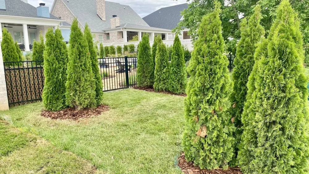 Affordable lawn care service for homes in Louisville, KY by Bluegrass Gardening