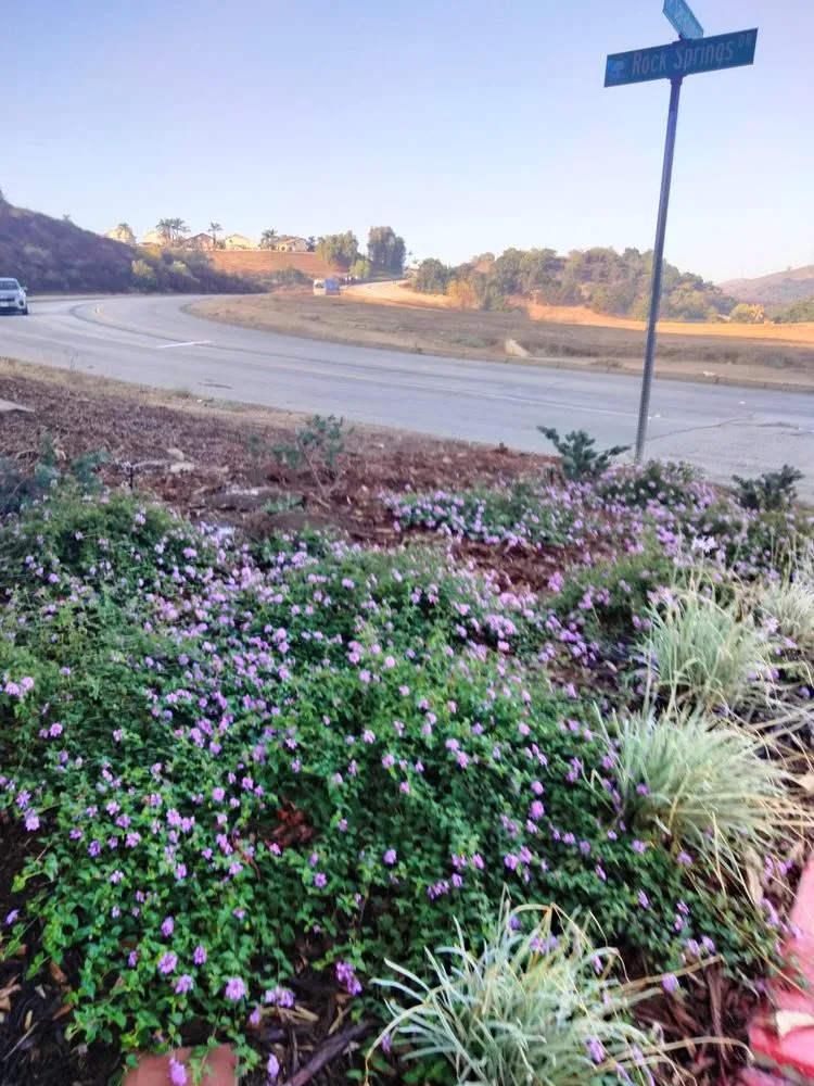 Top-rated residential landscaping for beautiful yards in Montclair, CA by Bluegrass Landscape & irrigation