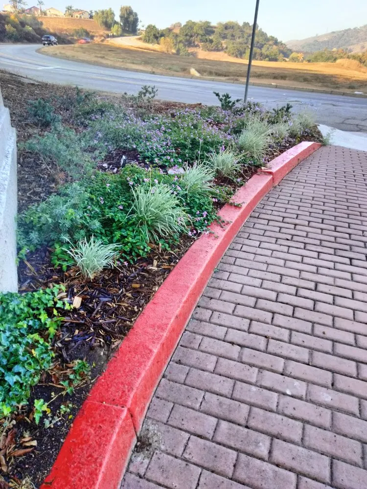 Top-rated landscaping services in Montclair, CA by Bluegrass Landscape & irrigation