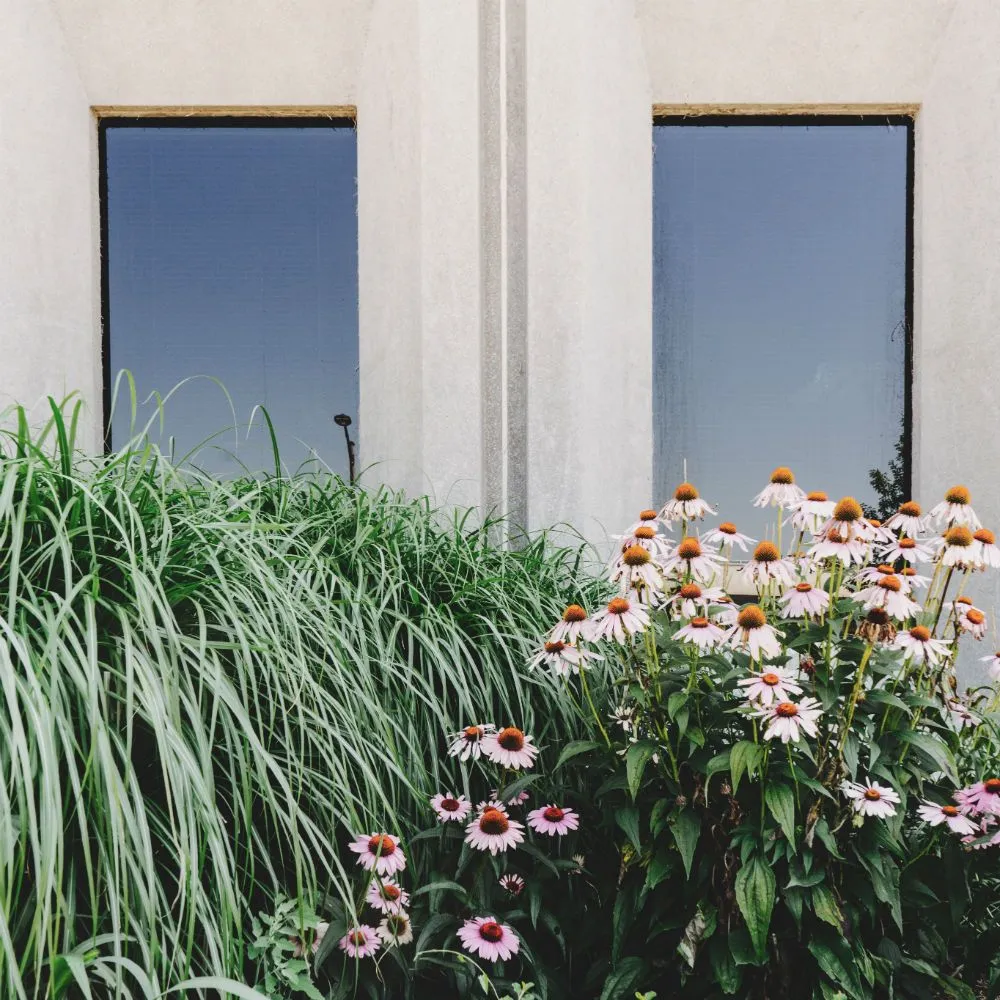 Custom lawn care service experts serving Rapid City, SD - Bluegrass Landscape Company