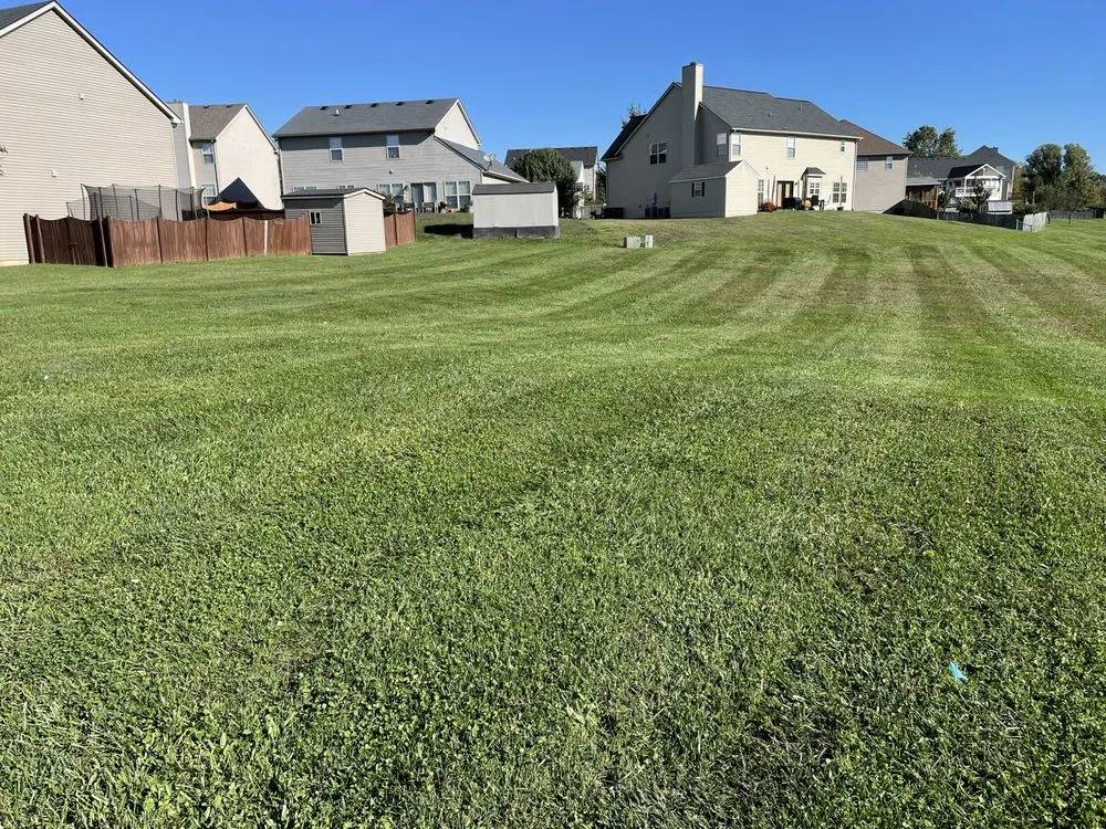 Affordable garden landscaping in Lexington, KY by Bluegrass Landscapes