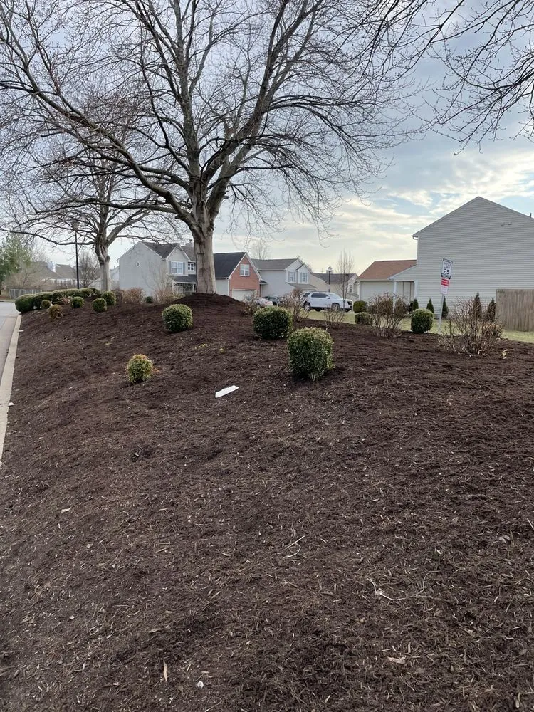 Reliable residential landscaping in Lexington, KY - Bluegrass Landscapes