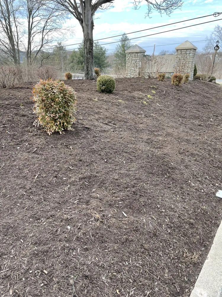 Reliable landscape design for residential properties across Lexington, KY - Bluegrass Landscapes