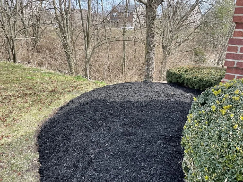 Expert landscape design experts serving Lexington, KY - Bluegrass Landscapes