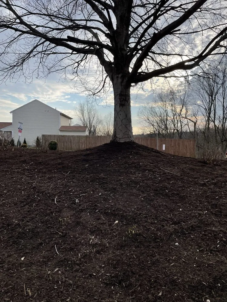 Expert landscape installation with custom design across Lexington, KY - Bluegrass Landscapes