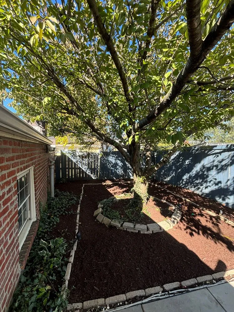 Affordable landscaping services for residential properties in Germantown, MD by Bluegrass Landscaping & Tree Service