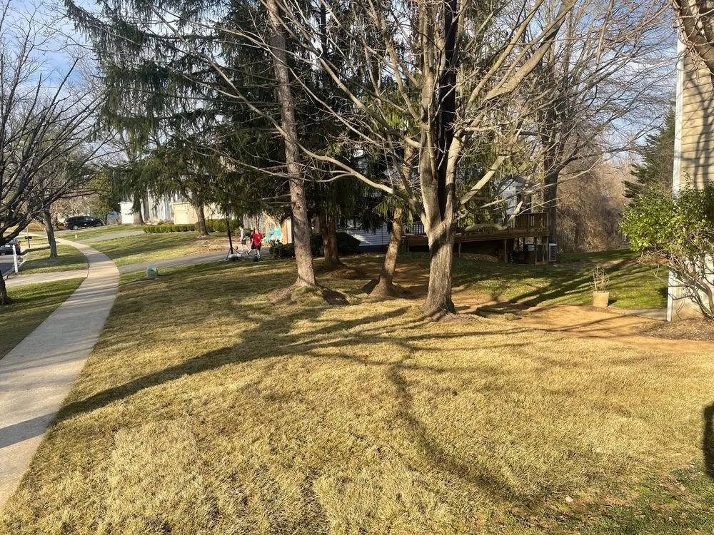 Custom yard maintenance experts serving Germantown, MD - Bluegrass Landscaping & Tree Service