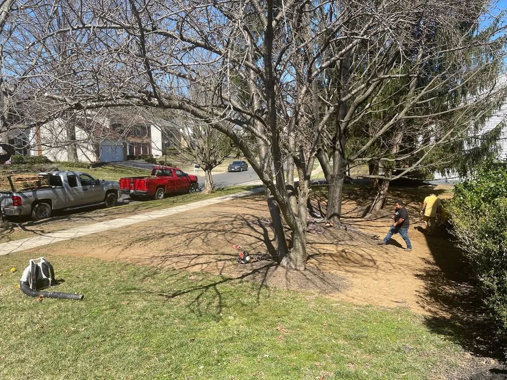 Professional lawn care service for beautiful yards across Germantown, MD - Bluegrass Landscaping & Tree Service