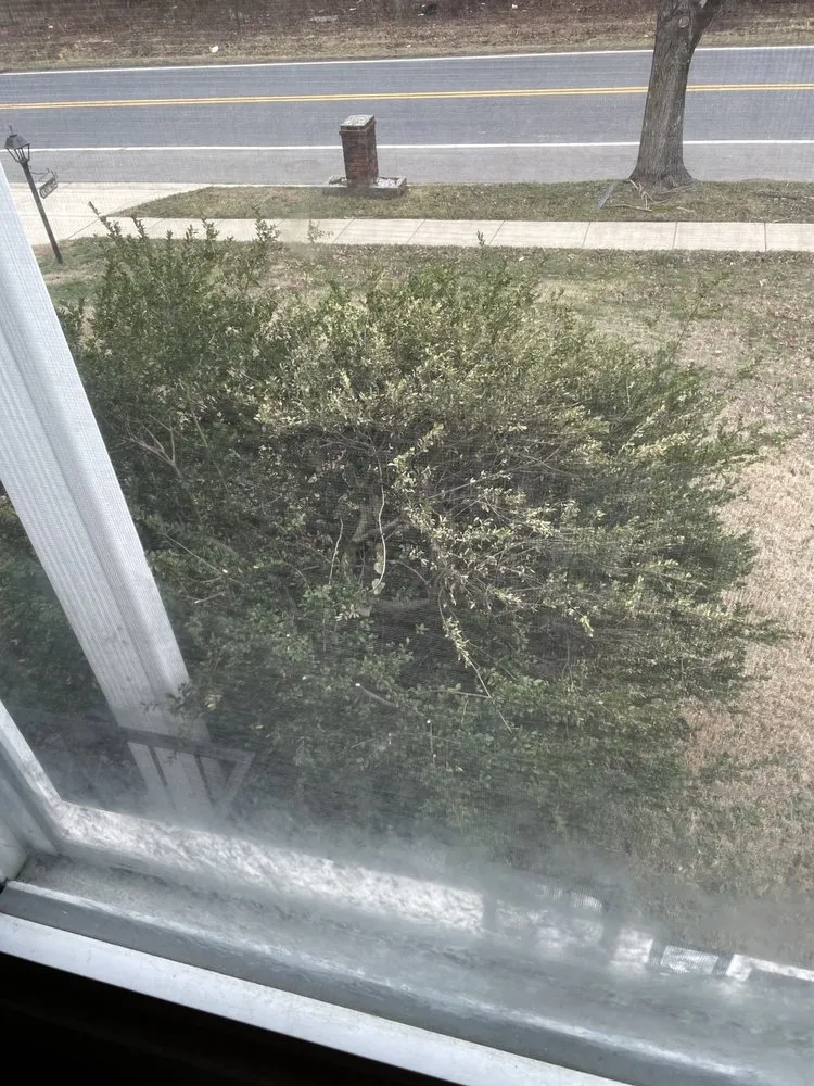 Custom landscape design in Germantown, MD - Bluegrass Landscaping & Tree Service