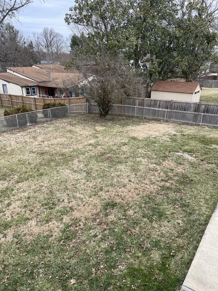 Local landscape installation with custom design across Germantown, MD - Bluegrass Landscaping & Tree Service