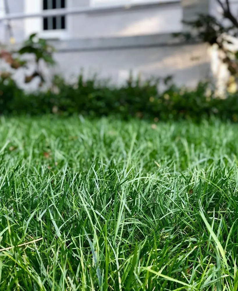 Trusted landscape installation in Germantown, MD by Bluegrass Landscaping & Tree Service