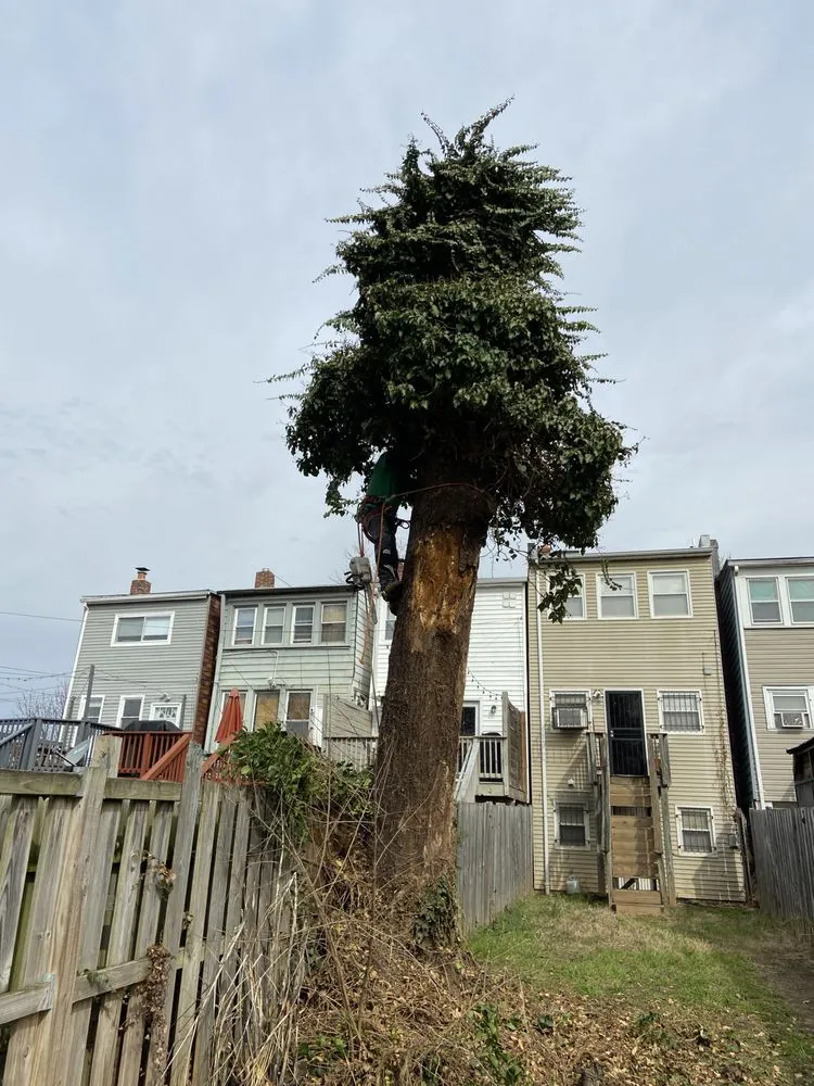 Expert garden landscaping in Germantown, MD by Bluegrass Landscaping & Tree Service