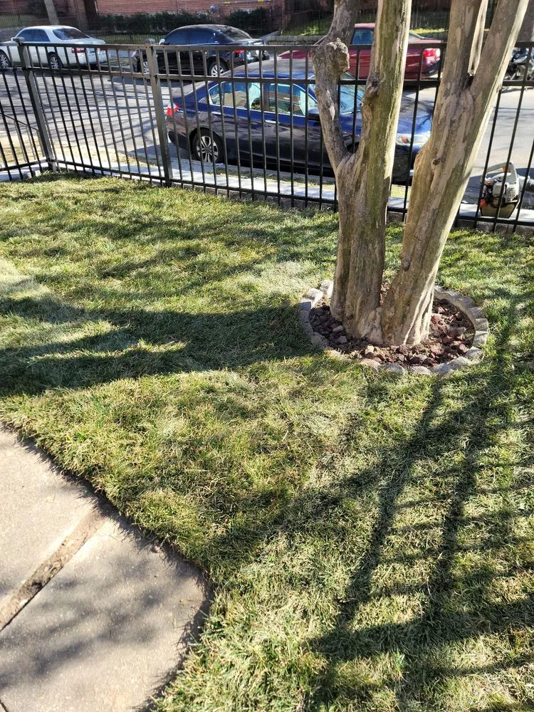 Reliable landscape installation in Germantown, MD - Bluegrass Landscaping & Tree Service