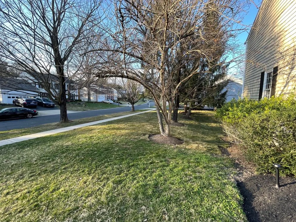 Trusted yard maintenance in Germantown, MD by Bluegrass Landscaping & Tree Service