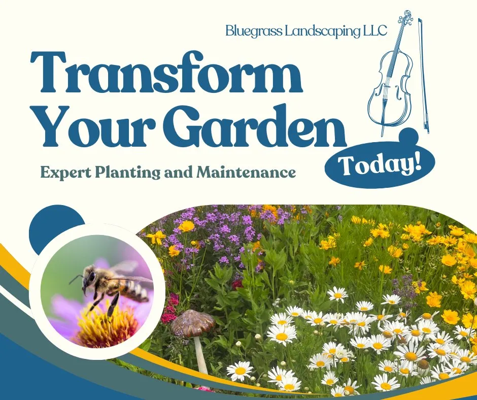 Trusted landscape installation for beautiful yards in Cambridge, MD by Bluegrass Landscaping