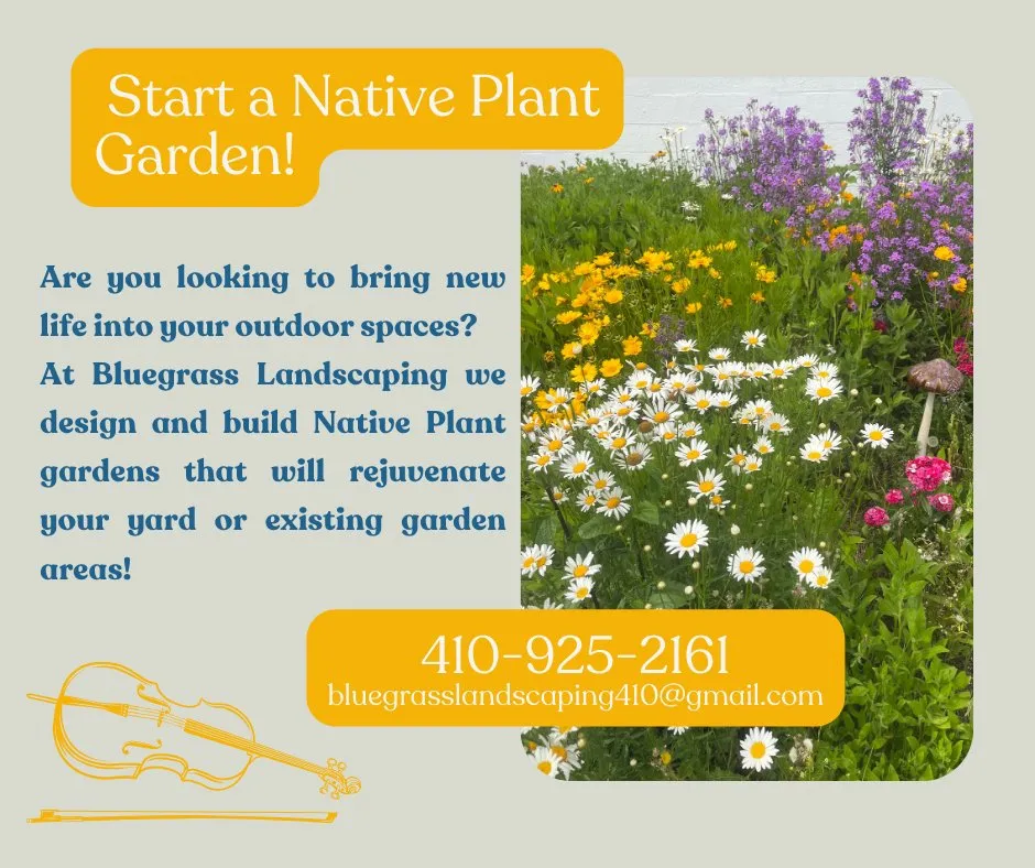 Custom yard cleanup service in Cambridge, MD by Bluegrass Landscaping