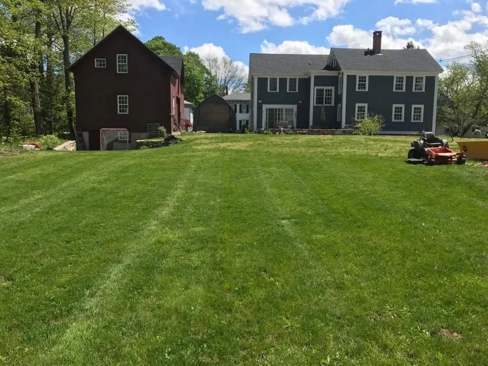 Reliable yard cleanup service experts serving Collierville, TN - Bluegrass Landscaping