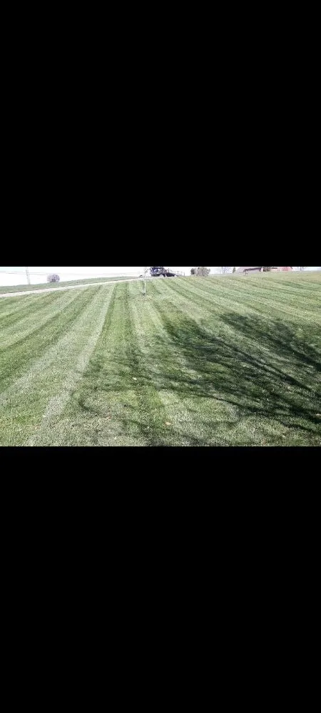 Professional landscape installation in Richmond, KY - Bluegrass Landscaping