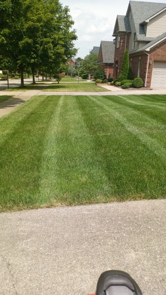 Trusted landscape design for homes across Richmond, KY - Bluegrass Landscaping