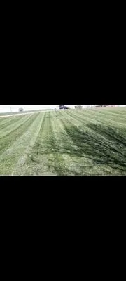 Bluegrass Landscaping Logo