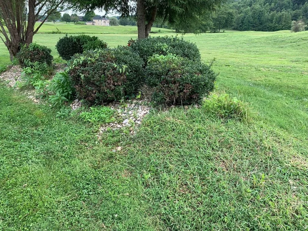 Professional landscape design for homes in London, KY by Bluegrass Lawn & Tree Care