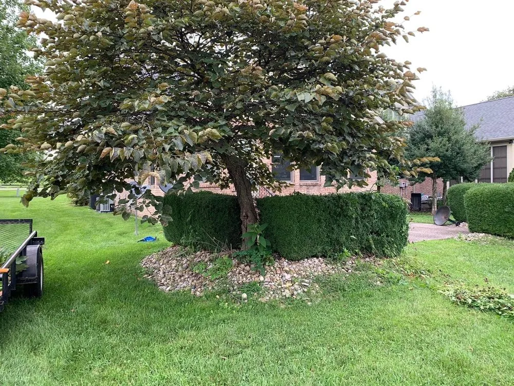 Trusted lawn mowing service in London, KY by Bluegrass Lawn & Tree Care