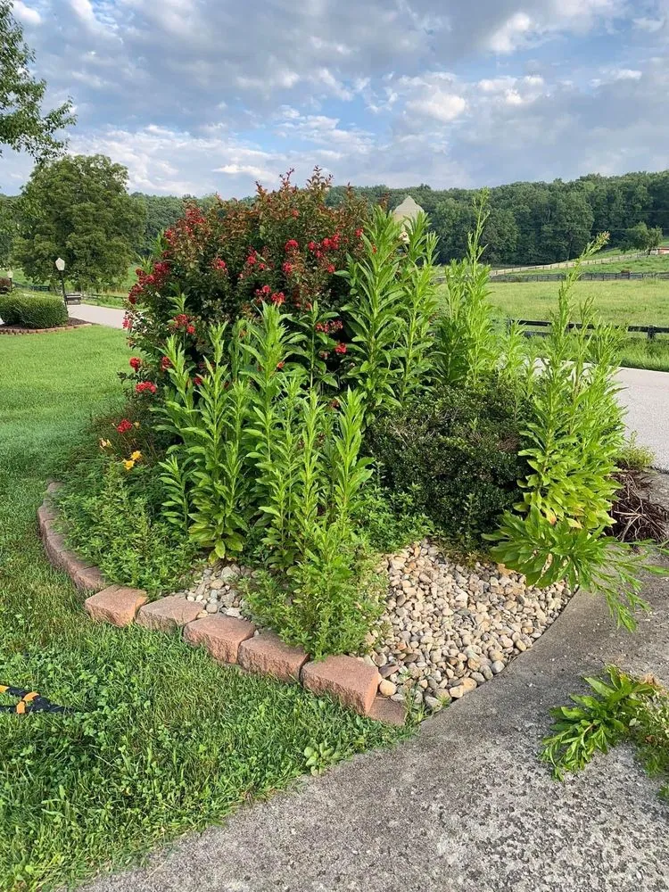 Affordable lawn mowing service in London, KY by Bluegrass Lawn & Tree Care