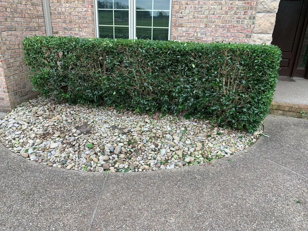 Local outdoor landscaping for homes across London, KY - Bluegrass Lawn & Tree Care