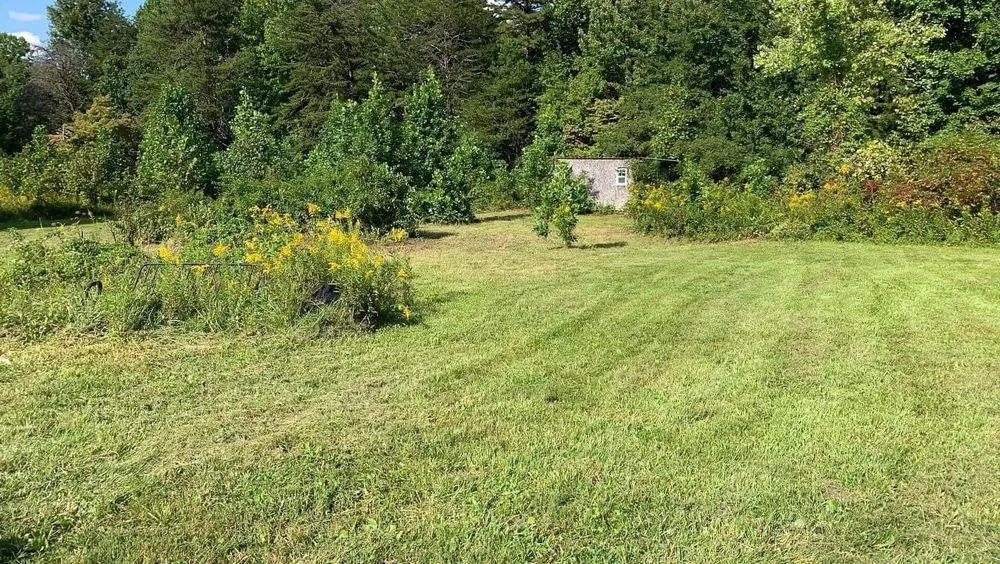 Custom landscape installation experts serving London, KY - Bluegrass Lawn & Tree Care