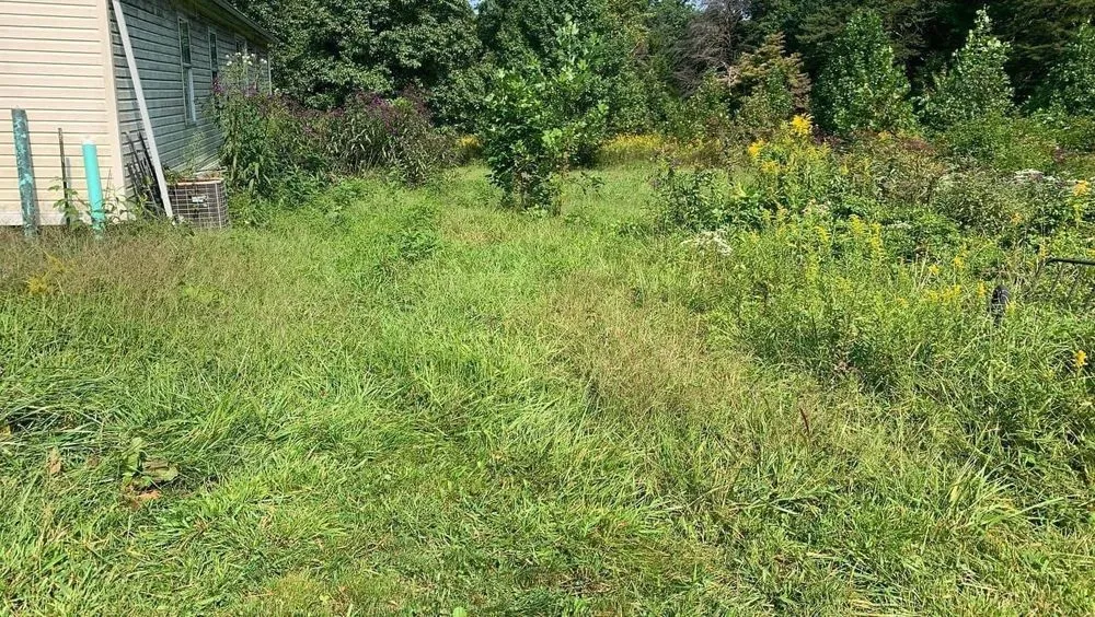 Reliable landscaping services in London, KY - Bluegrass Lawn & Tree Care