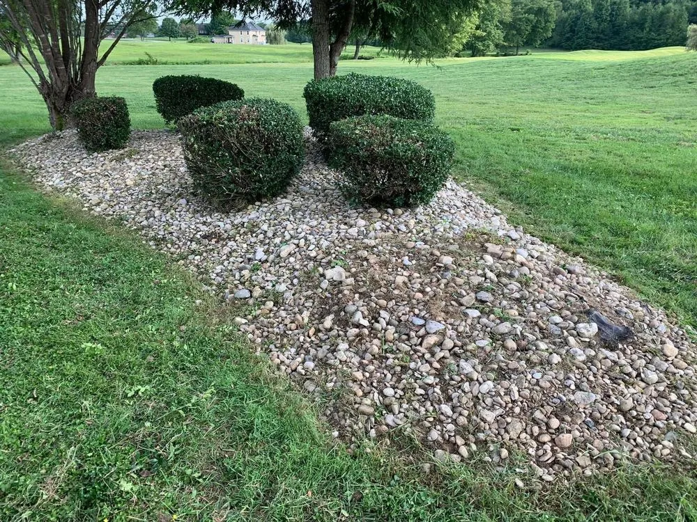 Trusted yard maintenance in London, KY - Bluegrass Lawn & Tree Care
