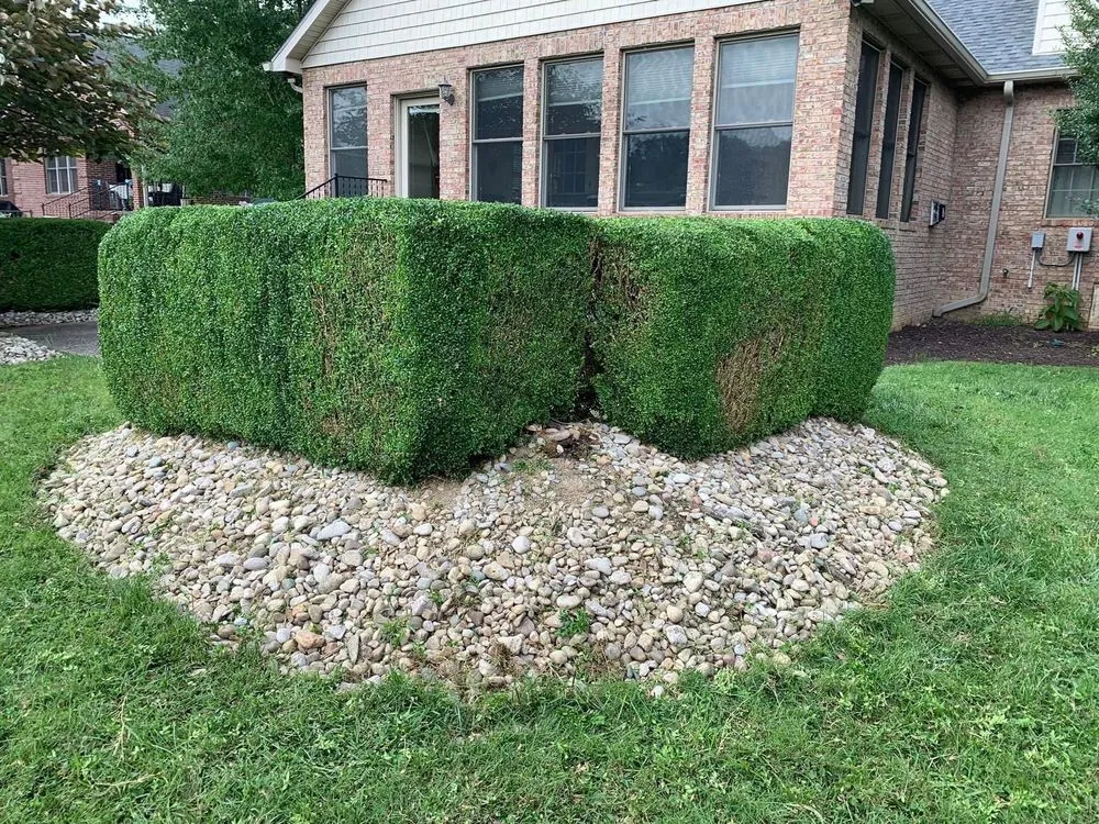 Professional landscape design experts serving London, KY - Bluegrass Lawn & Tree Care