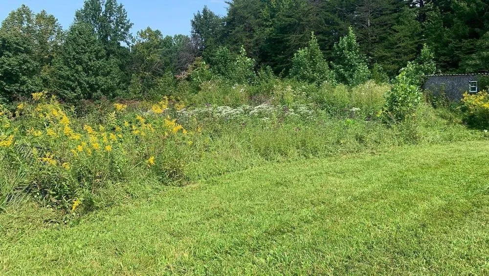 Trusted outdoor landscaping for residential properties in London, KY by Bluegrass Lawn & Tree Care