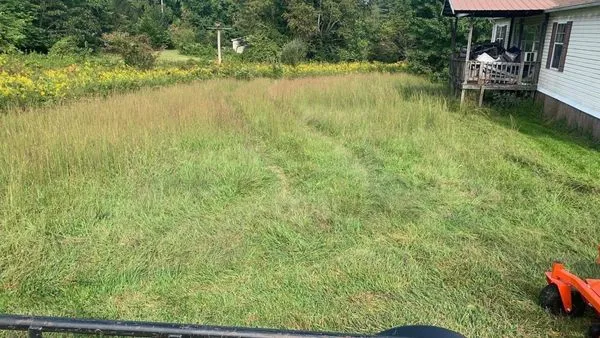 Bluegrass Lawn & Tree Care Logo