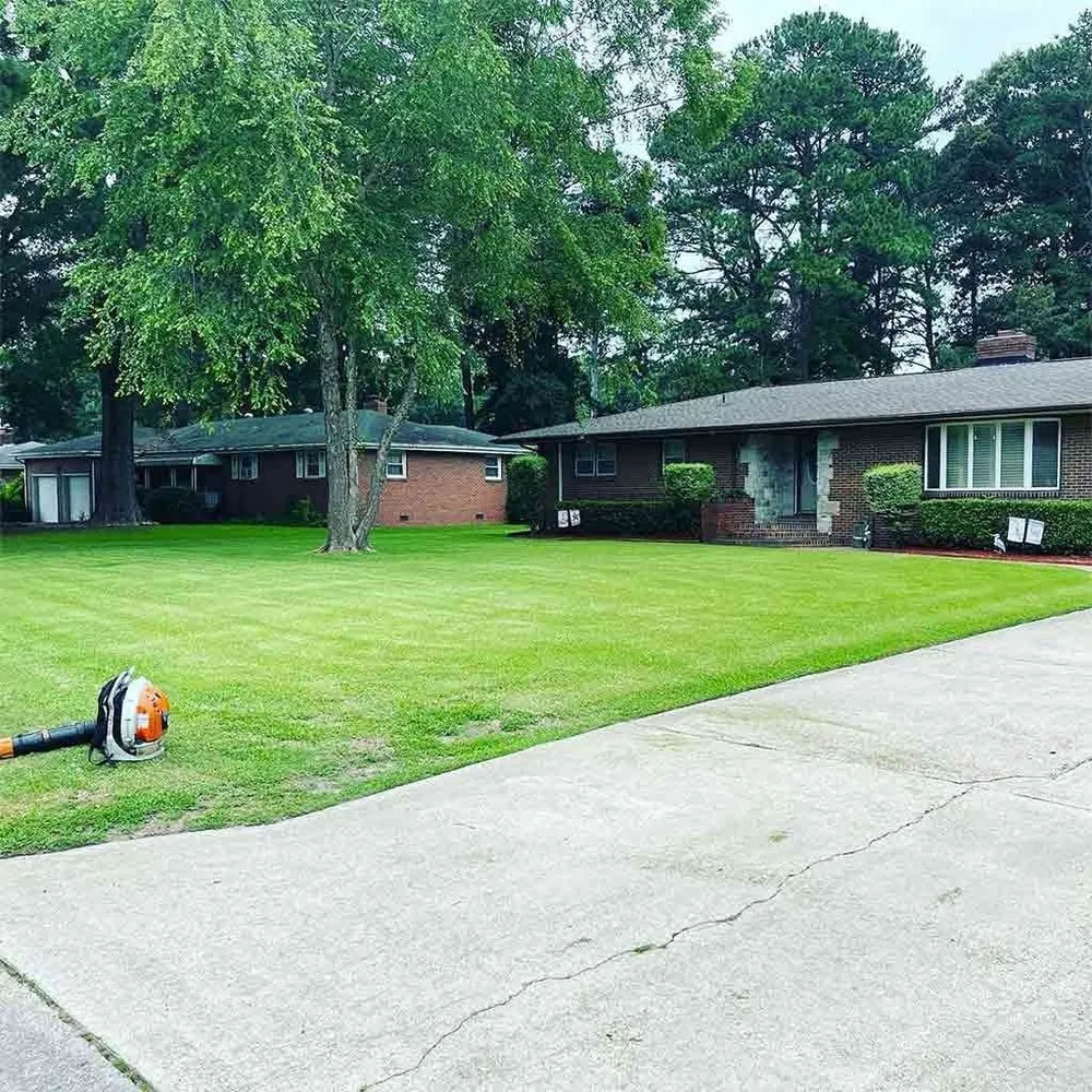 Top-rated yard cleanup service experts serving Chesapeake, VA - Bluegrass Lawn Care