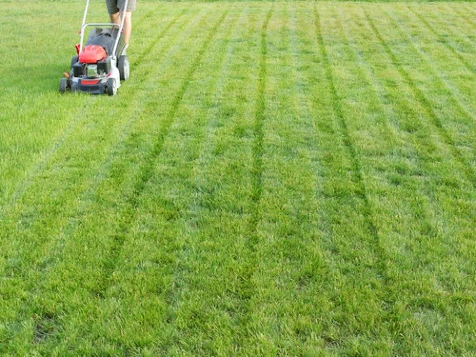 Trusted yard maintenance in Chesapeake, VA by Bluegrass Lawn Care